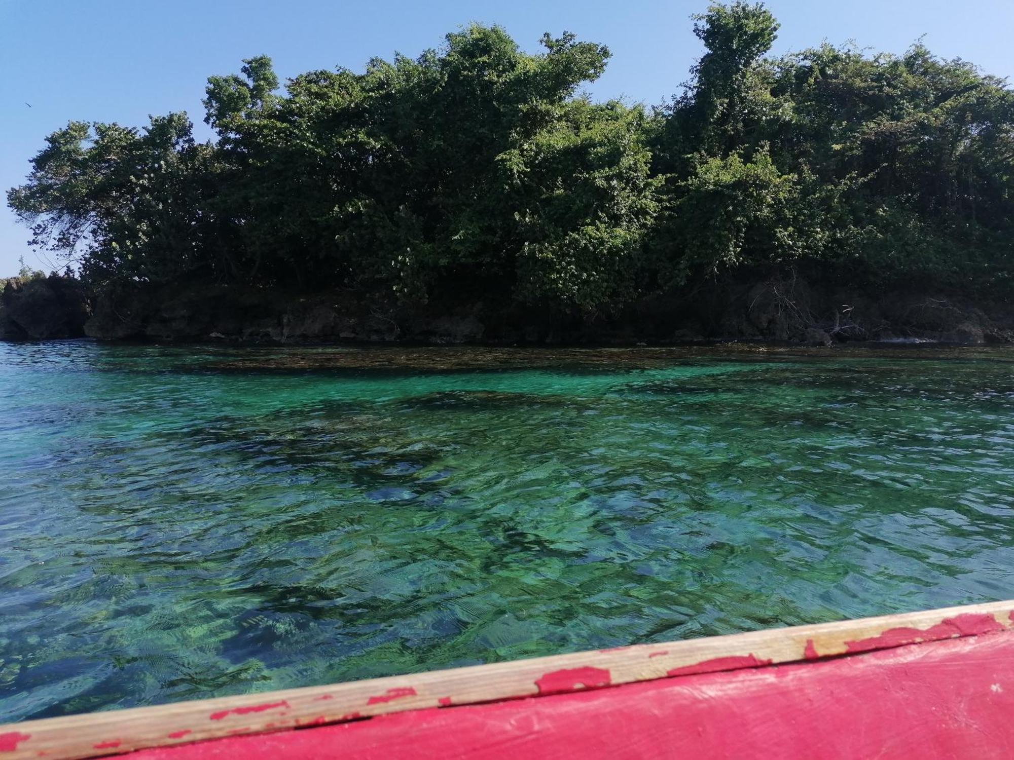 Port Antonio Brian'S Beach House Ngoại thất bức ảnh