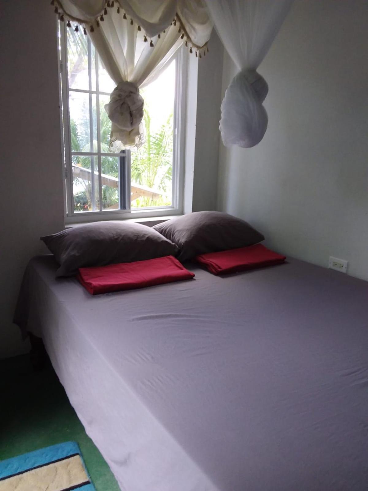 Port Antonio Brian'S Beach House Ngoại thất bức ảnh