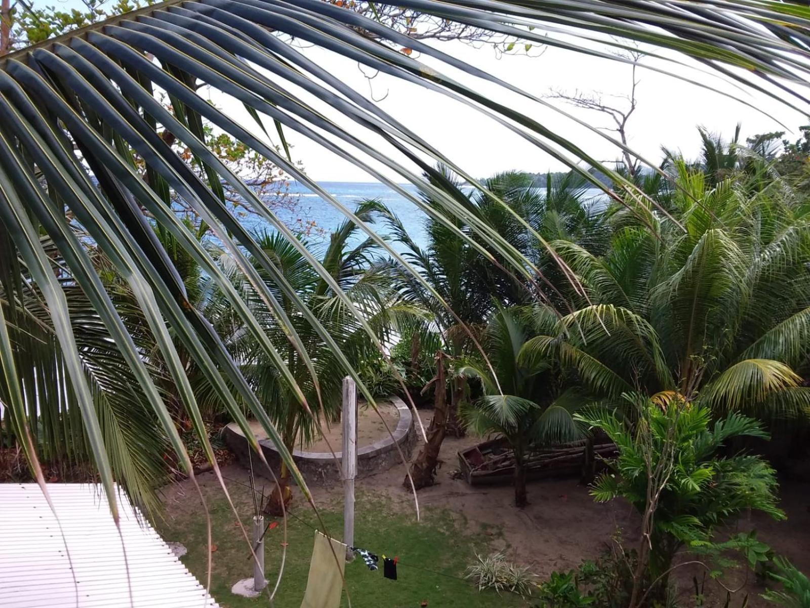 Port Antonio Brian'S Beach House Ngoại thất bức ảnh